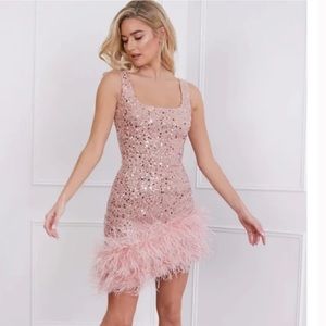 NWT Nadine Merabi Evie Dress in Pink Size Medium